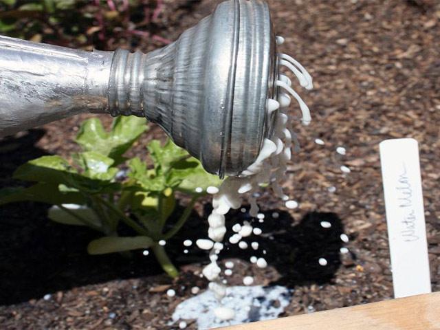 Thấy con dâu vứt sữa hết hạn, mẹ chồng ngăn lại rồi đem ra vườn khiến cả nhà tròn mắt