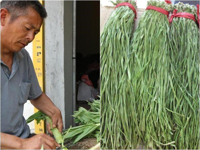 Kỳ lạ: Loại rau đặc sản từng để tiến Vua bây giờ chỉ để cho lợn ăn