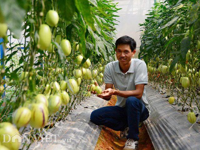 Bỏ phố lên rừng, chàng trai 8x Đà Lạt trồng được cả trang trại toàn loại quả siêu độc lạ