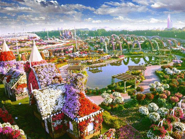 Sửng sốt trước độ choáng ngợp của vườn hoa tự nhiên khổng lồ đẹp nhất thế giới ở Dubai