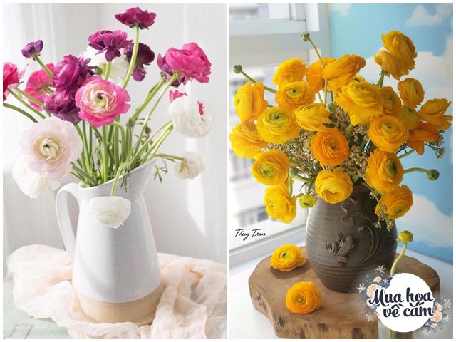 Muôn kiểu cắm hoa mao lương đẹp không đụng hàng, nhà mẹ Việt rực sắc đón ngày 8/3