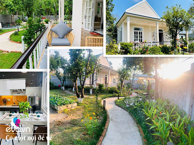Ông bố Đà Nẵng ra ngoại ô làm nhà vườn tránh dịch, sống yên bình hệt trong phim