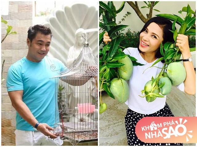 Nhà Celeb: Việt Trinh Lý Hùng, cặp đôi vàng năm 90 giờ vẫn độc thân, ở nhà rộng đắt tiền