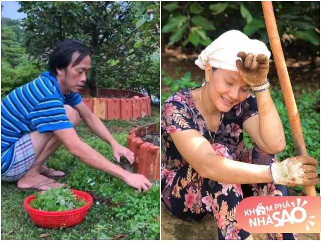 Sao Việt đến tuổi không thích ồn ào về vườn trồng cây, sống như nông dân dù kiếm tiền tỷ